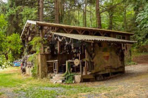 More Communal Kitchen/Hangout Area 